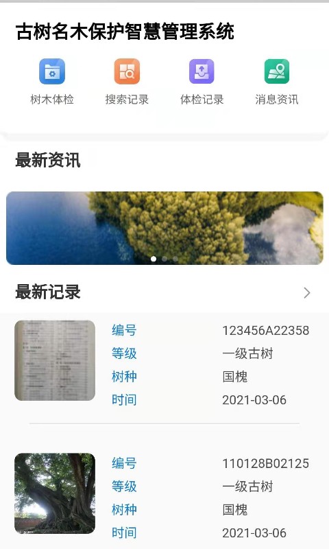 古树智慧管理app手机版
