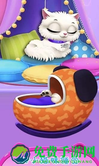 公主宠物小猫咪游戏