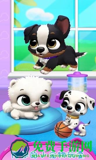 公主宠物小猫咪游戏