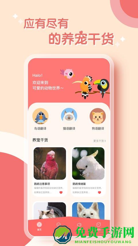 鹦鹉翻译器最新版