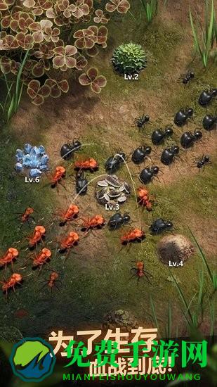 小小蚁国qq登录端