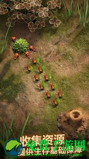 小小蚁国小米版