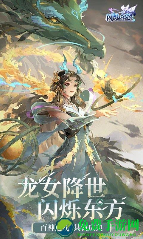 闪烁之光九游渠道服