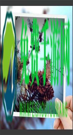 趣拍玩图照相机官方版