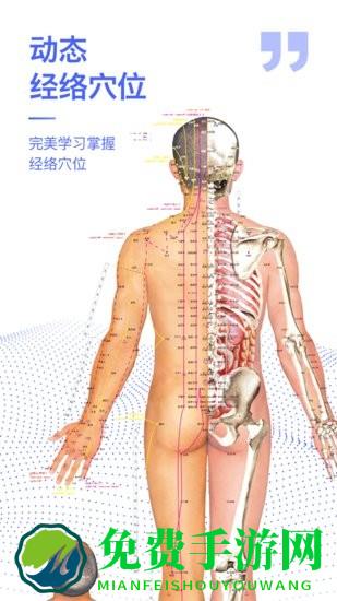 2024人体解剖学图谱