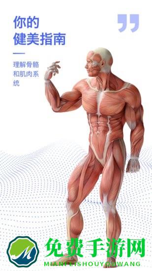 2024人体解剖学图谱