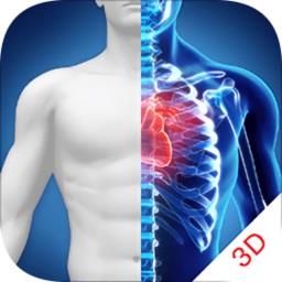 3D人体解剖学图谱app