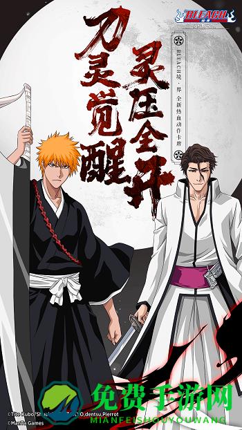 境界斩魂之刃vivo版