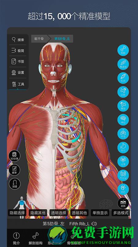 维萨里3d解剖全集终身免费版下载