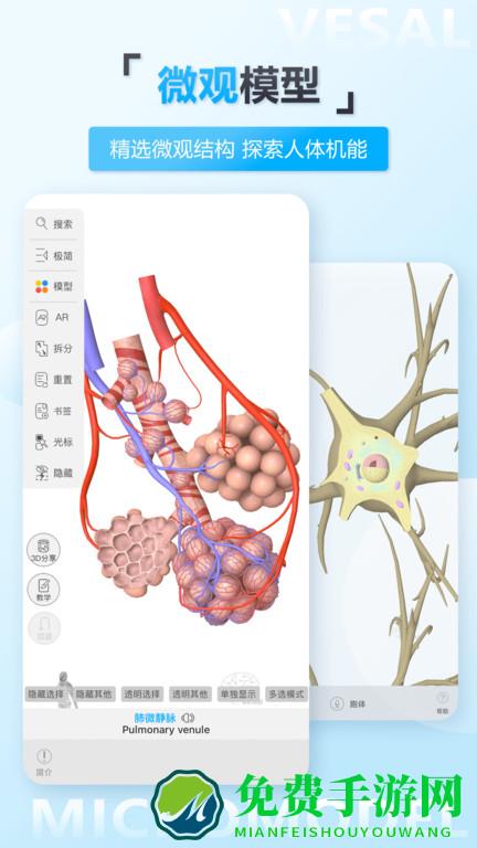 维萨里3d解剖app