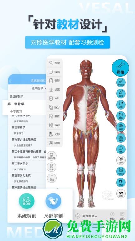 维萨里3d解剖app