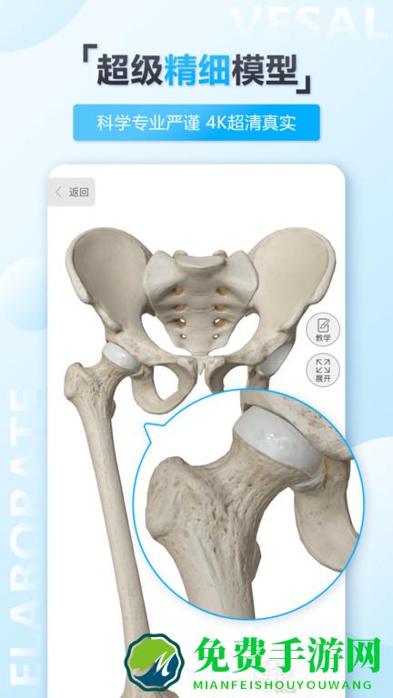 维萨里3d解剖app