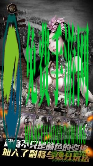 三国志大战九游版