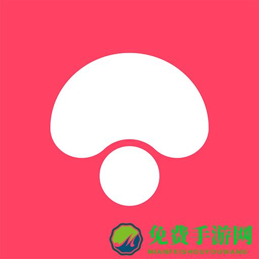 蘑菇街女装最新款