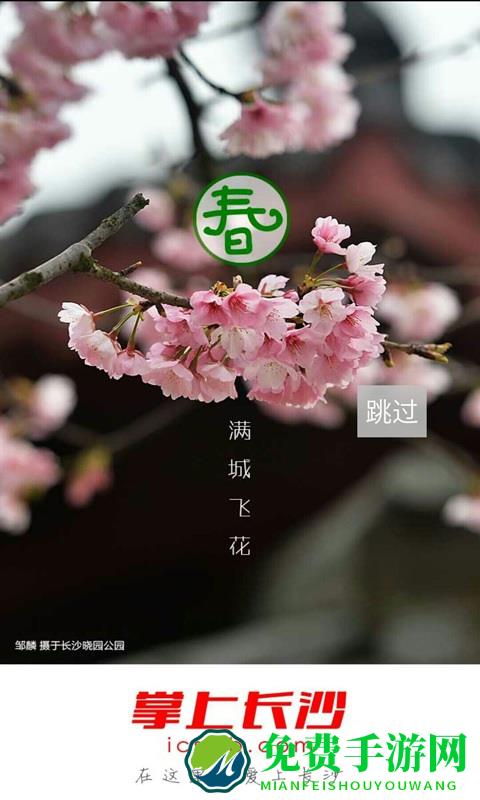 长沙晚报掌上长沙手机客户端