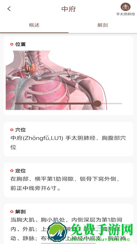 经络穴位3dapp