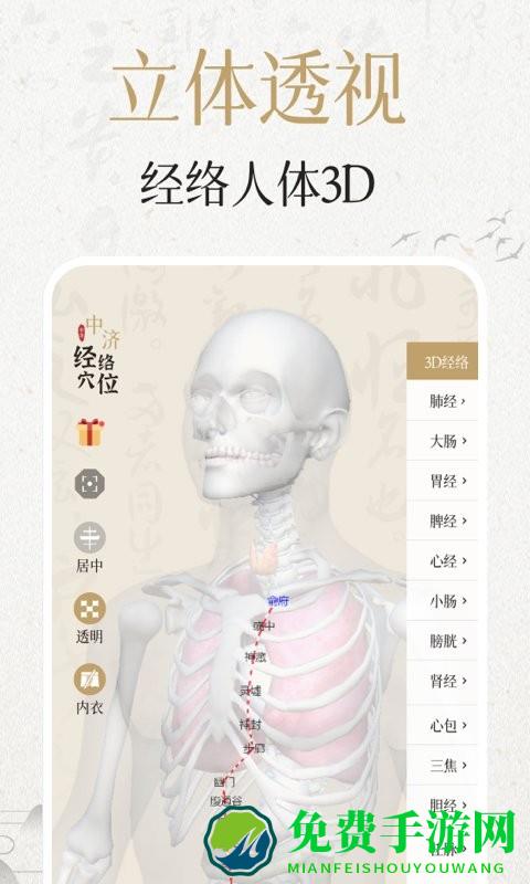 中济经络穴位app
