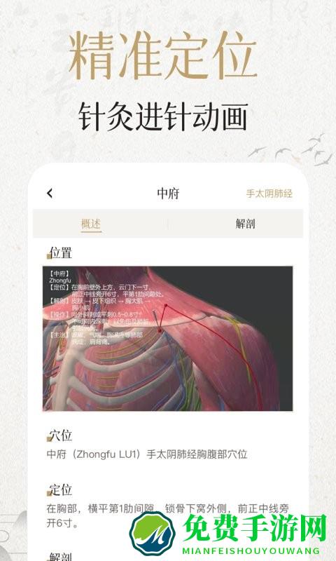 中济经络穴位app