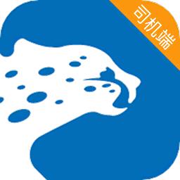 飞豹出行司机端app(飞豹司机端)