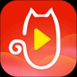祝福猫视频app