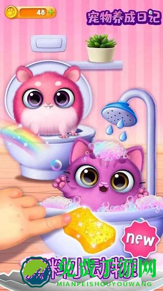 宠物养成日记