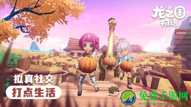 龙之国物语哔哩哔哩版