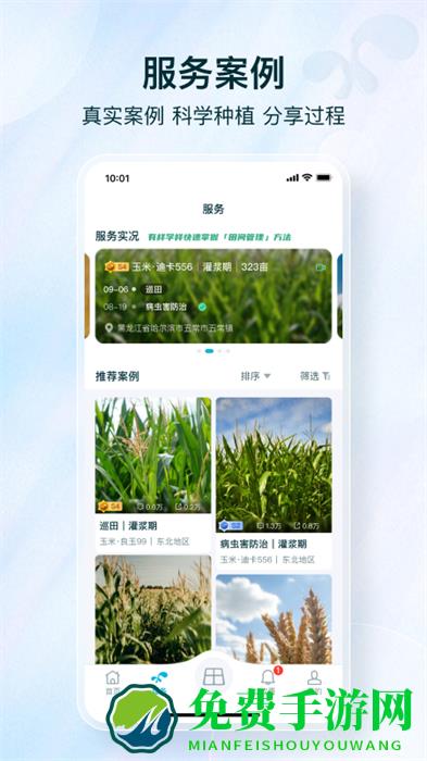 爱科农(农作物)