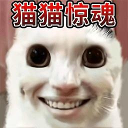 猫咪宠物模拟器游戏