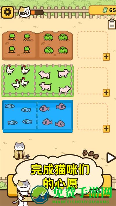 爱旅行的小猫咪