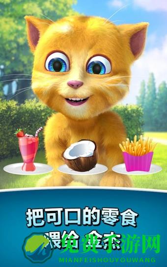 会说话的金杰猫2游戏