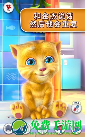我的金杰猫(会说话的金杰猫)