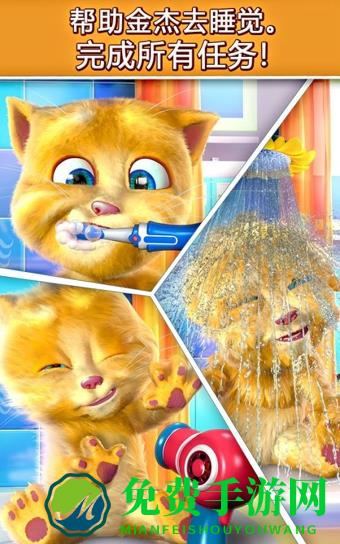 我的金杰猫(会说话的金杰猫)