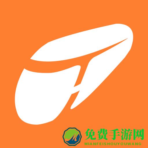 12306分流抢票软件手机版(铁友火车票12306抢票)