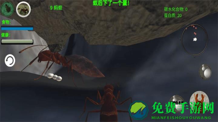 奇妙动物世界探险免费下载