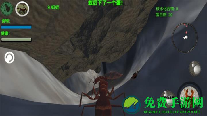 奇妙动物世界探险游戏