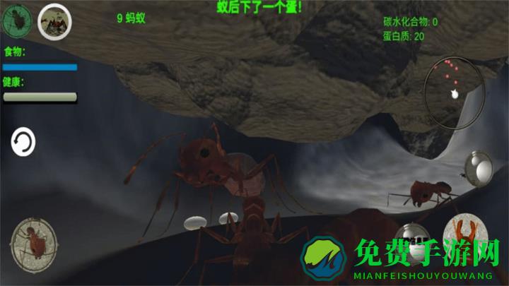 奇妙动物世界探险游戏