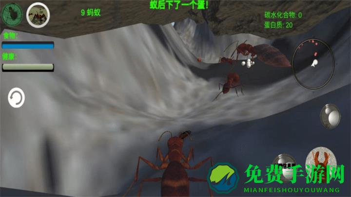 奇妙动物世界探险游戏