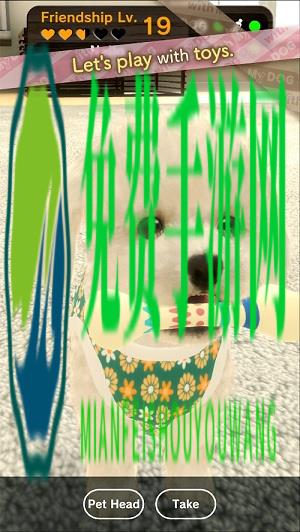 我的狗狗游戏