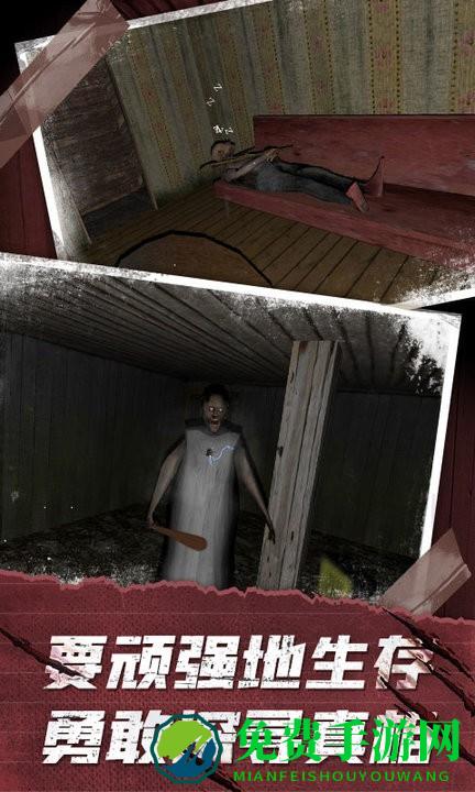 恐怖奶奶3d手机版