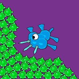 昆虫大乱斗游戏