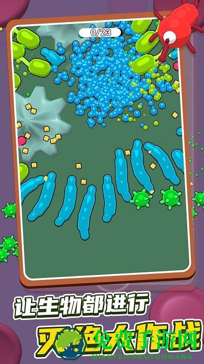 昆虫大乱斗游戏