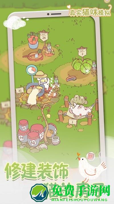 真实猫咪模拟最新版