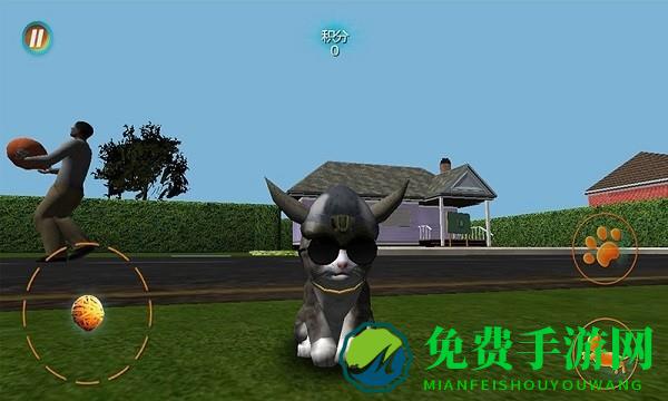 真实小猫3d模拟游戏