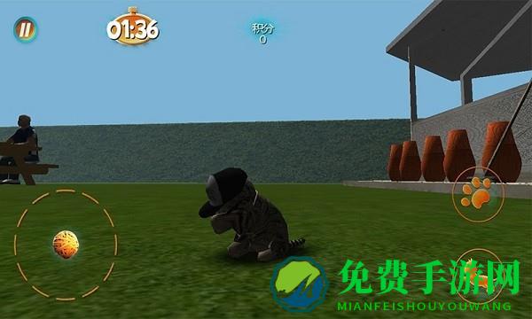 真实小猫3d模拟游戏