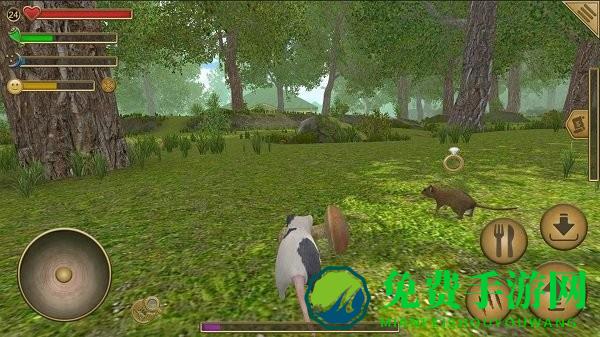 真实老鼠生存模拟器手机版