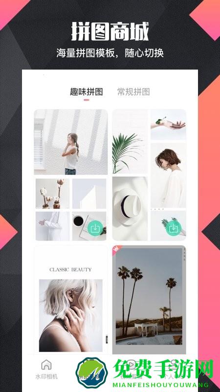 拼图去水印proapp