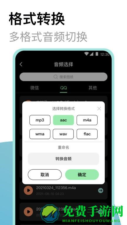 高清录音大师app