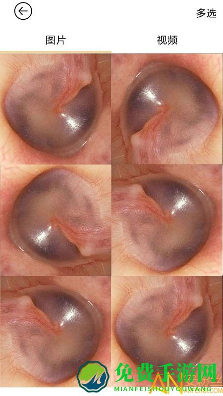 蜂鸟采耳app(bebird)