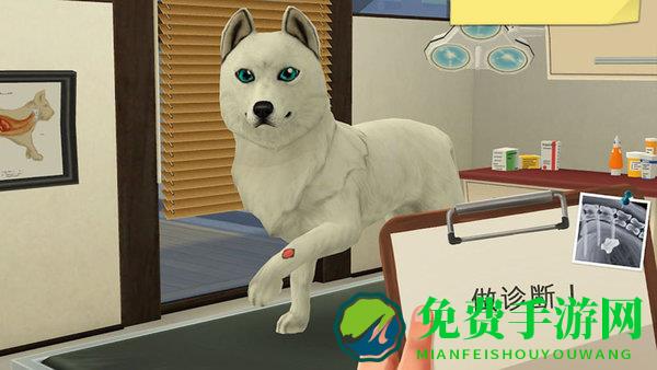 宠物救助模拟器游戏