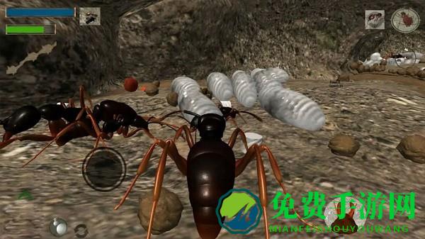 蚂蚁荒野生存模拟最新版游戏